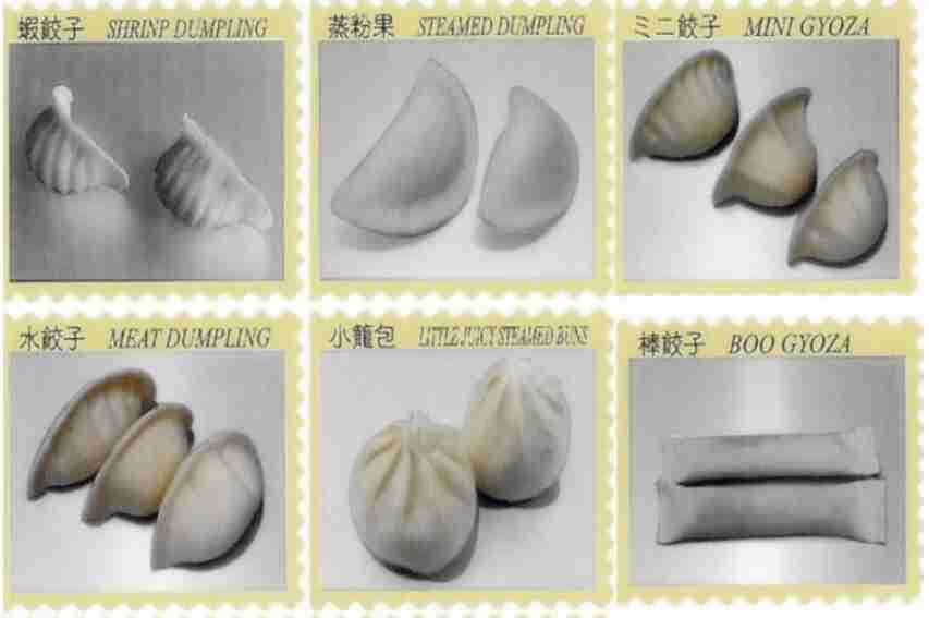 TASJIN Dumpling Making Kit, Makes Over 10 Types of Dumplings